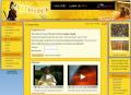 Bee Happy - Cliquez pour voir la fiche d&eacute;taill&eacute;e