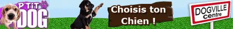 Cliquez ici pour acc&eacute;der au jeu gratuit ptit dog