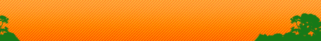 Cliquez ici pour acc&eacute;der au jeu gratuit crazy carrot