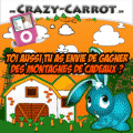 Cliquez ici pour acc&eacute;der au jeu gratuit crazy carrot