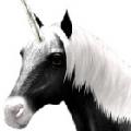 Cliquez ici pour acc&eacute;der au jeu gratuit elevage de licorne