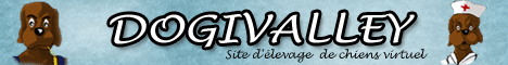 Cliquez ici pour acc&eacute;der au jeu gratuit dogivalley