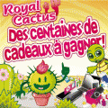 Cliquez ici pour acc&eacute;der au jeu gratuit royal cactus