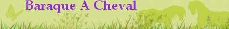 Cliquez ici pour acc&eacute;der au jeu gratuit baraque a cheval