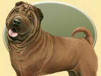 Cliquez ici pour acc&eacute;der au jeu dogzer 