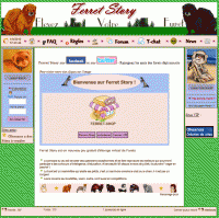 Cliquez ici pour acc&eacute;der au jeu ferretstory