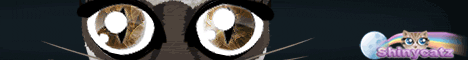 Cliquez ici pour acc&eacute;der au jeu gratuit shinycatz (jeu de chat)