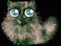Cliquez ici pour acc&eacute;der au jeu gratuit shinycatz (jeu de chat)