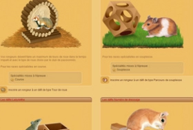 jeu internet hamster story