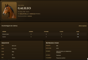 jeu internet hippogalop jeu internet hippogalop