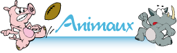 Animaux / Ferme