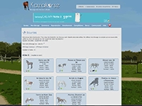 Kazakorse Kazakorse