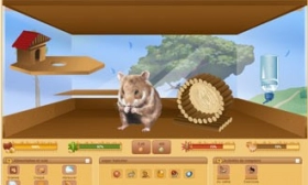 jeu virtuel hamster story