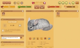 jeu en ligne hamster story