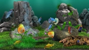 jeu virtuel aqualife 3d