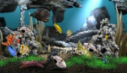 jeu en ligne aqualife 3d